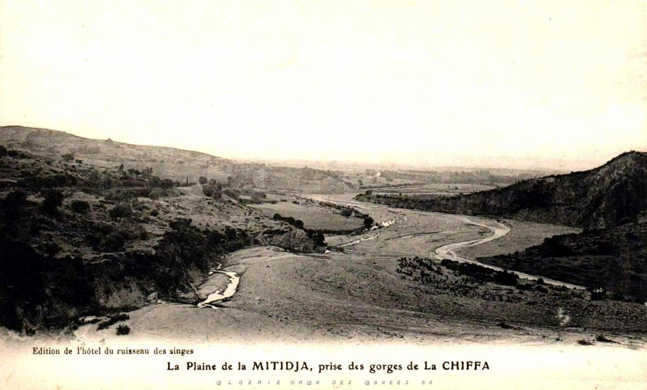 Mitidja - La Plaine.jpg